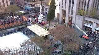 WATCH Rockefeller Center Christmas Tree arrives in NYC hoisted by crane into place in the Plaza [upl. by Frierson]