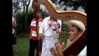 Interpretando música tradicional indígena de la sierra de Zongolica [upl. by Ayekam]