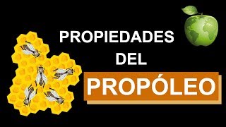 Para Qué Sirve el Propóleo [upl. by Netsriik125]