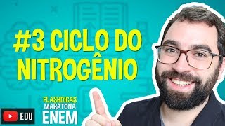 Ciclo do Nitrogênio  Flashdica 3  Maratona ENEM  Prof Gui [upl. by Llemor514]