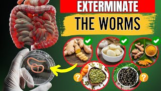 EXTERMINATE The Worms  14 Foods That Destroy Intestinal Parasites NOT WHAT YOU THINK [upl. by Clintock]