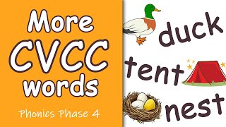 p CVC Words  Phonics Phase 2 [upl. by Lennor141]