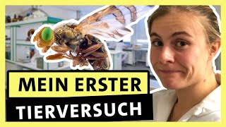 Biologie studieren So ist es wirklich – Zwischen Vorlesung und Mikroskop  alpha Uni [upl. by Enuj332]