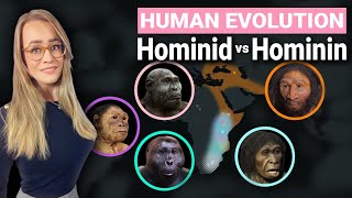 Human Evolution Explained  Hominid amp Hominin Difference [upl. by Monro]