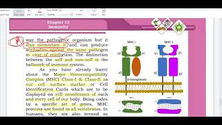 SELF VS NON SELF RECOGNITION PART 1  MHC 1 AND MHC II MADE EASY  CLASS 11 BIOLOGY SINDH BOARD [upl. by Blumenfeld187]