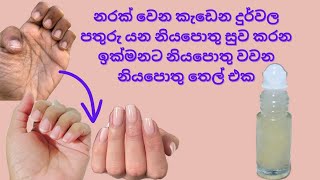 නරක් වෙන කැඩෙන නියපොතු සුව කරන ලස්සනට නියපොතු වවන තෙල් සත්කාරයනියපොතු සත්කාරNail care sinhalaasmr [upl. by Ajiat951]