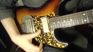 Waterslide Coodercaster Sunburst wLeopard Guard Mojo Lap Steel amp Gold Foil Pickups [upl. by Eidnarb]