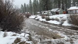 Grout Creek in Fawnskin Ca  Heavy Rains bring in more water 💧 [upl. by Sitrik159]