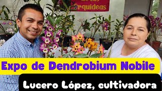 Platicamos con Lucero López cultivadora de Dendrobium en Teocelo Veracruz [upl. by Cecilio]