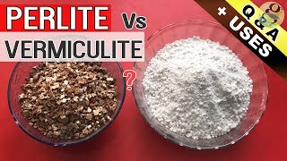 PERLITE vs VERMICULITE IN GARDEN SOIL  Benefits and Difference Between Perlite and Vermiculite [upl. by Lauhsoj]