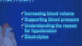 Hypotension Treatment and causes [upl. by Einnol213]