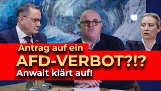 AfDVERBOT durch Bundestag Geht das Macht ein VerbotsAntrag Sinn Anwalt klärt auf [upl. by Amada]