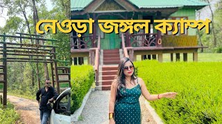 Neora Jungle Camp Resort  Offbeat Dooars Tour  Govt Forest Bunglow Stay  Gorumara Forest [upl. by Patnode965]