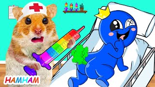 Crazy Doctor Hamster Check Up Rainbow Friends  Funny Videos Animals  Hamster Cartoon [upl. by Sudnac195]