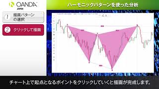 31 Tradingview「ハーモニックパターンを使った分析」 [upl. by Aineles]