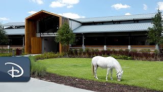 Celebrating the New TriCircleD Ranch Home to Heritage and Happy Horses [upl. by Aiykan]