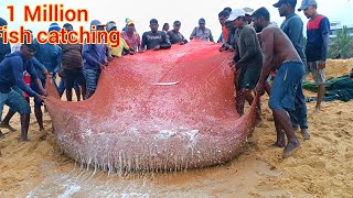 woow  😱😱 million 5k of catching fish  Unbelievable fishing video fishnegombo [upl. by Ennair856]