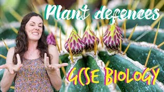 Plant defences  GCSE Biology Revision for 2020 [upl. by Nej413]