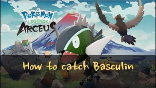 How To Find and Catch Basculin In Pokemon Legends Arceus  Evolve to Basculegion [upl. by Sitoel]