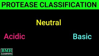 Classification Of Proteases  Basic amp Acidic Protease  Protease Production  Types Of Protease [upl. by Beverley341]