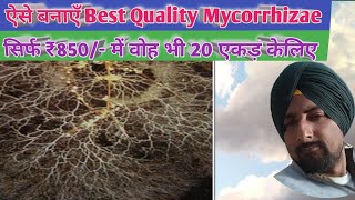 Best Bio fertilizer Mycorrhiza Make it at Home for 20 acre in ₹ 850 only [upl. by Kara442]