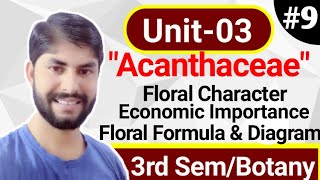 BSc 2nd year Botany Unit3Family Acanthaceae In hindiVegetative characterFloral diagramFormula [upl. by Leumas]