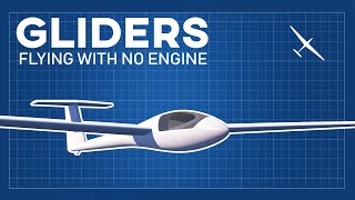 How can gliders fly without propulsion  The most complete explanation [upl. by Ellingston]