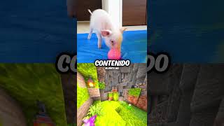 TODOS Pensaban que Este YouTuber Era un Psicópata 😭🐖 shorts curiosidades [upl. by Nnylear]