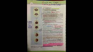 Cell cycle and cell division class 11 ncert Biology highlights [upl. by Westmoreland]