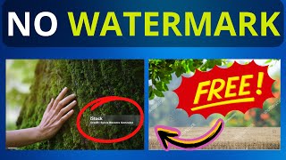 How to Download Stock Images without Watermark [upl. by Metabel]