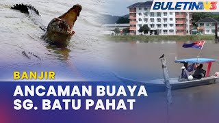 BANJIR  Kelibat Buaya Resahkan Penduduk Nelayan [upl. by Onitnelav]