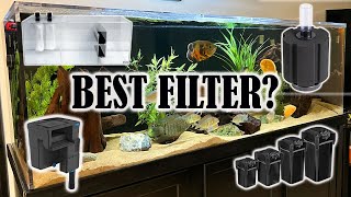 Aquarium Filtration  Which Type of Filter is Best for You [upl. by Novah]