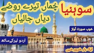 Rozay diyan jaliyan  lyrics Urdu  ilyas falak Naat  Rabi ul awal Naat  Falak Sons Naat Studio [upl. by Aisya]