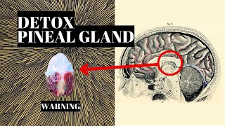 How To Decalcify The Pineal Gland Third Eye [upl. by Westleigh]