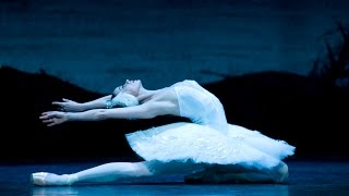 Camille SaintSaëns  Le Cygne the Swan by MusicaGradevole [upl. by Renae]