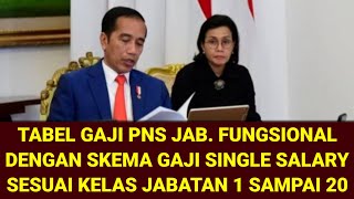 NEGARA MEMUTUSKAN  SKEMA SINGLE SALARY DITERAPKAN  INI TABEL GAJI PNS JABATAN FUNGSIONAL [upl. by Peterson]