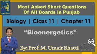 Most Important Short Question  Biology Class 11  Chapter 11 Bioenergetics  Sirumairbhatti [upl. by Ettereve]