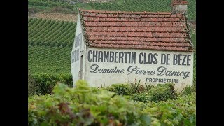 Gevrey Chambertin Grand Cru Premier Cru Villages [upl. by Gone525]