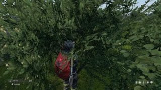 How to throw a grenade in DayZ [upl. by Marston]