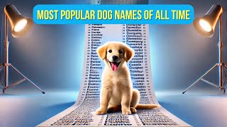 Top 10 MOST POPULAR Dog names of all time [upl. by Lihp]