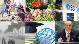 Vegetable Rates  Scholarship  Bipc Counselling  SBI Credit Card 3 Cyclone  NarsinghAnand  Gaza [upl. by Laucsap]