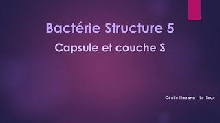 Bactérie Structure 5 CAPSULE et COUCHE S bactériennes [upl. by Naji248]