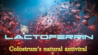 Lactoferrin Colostrums natural antiviral [upl. by Shandie]