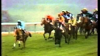 1980 Waterford Crystal Stayers Hurdle [upl. by Erastatus]