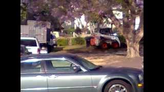 Bobcat 763 Removing Old Grass [upl. by Darbie]