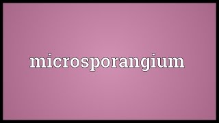 Microsporangium Meaning [upl. by Thackeray241]