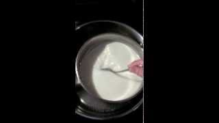 How to pasteurize goats milk [upl. by Yzeerb]