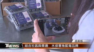 結合社區與青農 水保署推藍莓品牌│TNEWS聯播網 [upl. by Rotkiv]