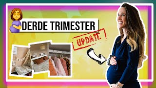 ZWANGERSCHAP DERDE TRIMESTER UPDATE 🤰🏼👶🏻 VLOG l babykamer l moeheid l MOXA therapie [upl. by Theurich]