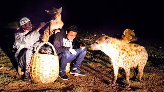 FaceToFace with a GIANT HYENA in Ethiopia  Huge Ethiopian Street Food Tour in Harar [upl. by Adias]